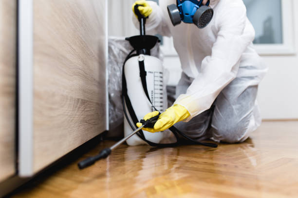 Best Affordable Pest Control Services  in Beechwood Trails, OH