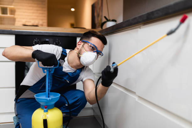 Best Pest Control for Businesses  in Beechwood Trails, OH