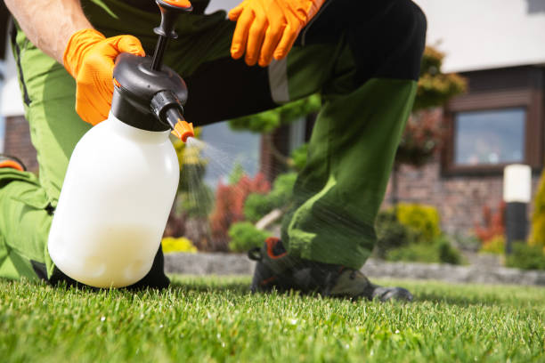 Best Wasp Removal Services  in Beechwood Trails, OH