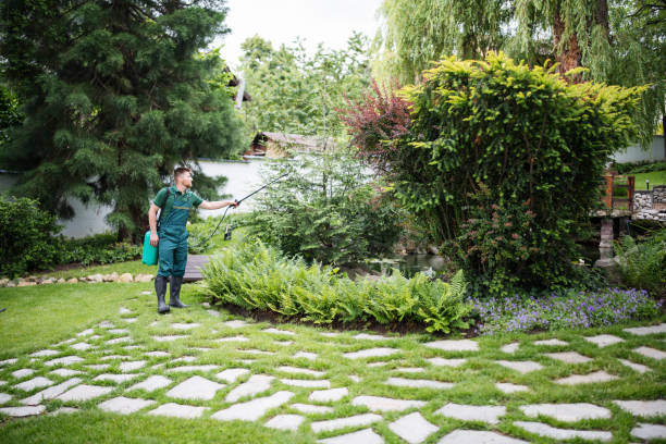 Best Affordable Pest Control Services  in Beechwood Trails, OH