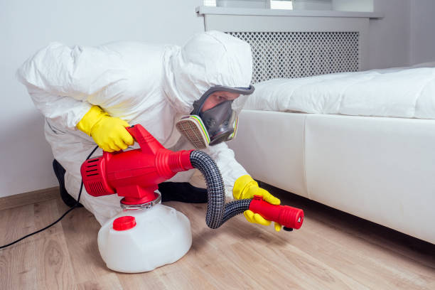 Best Flea Control Services  in Beechwood Trails, OH