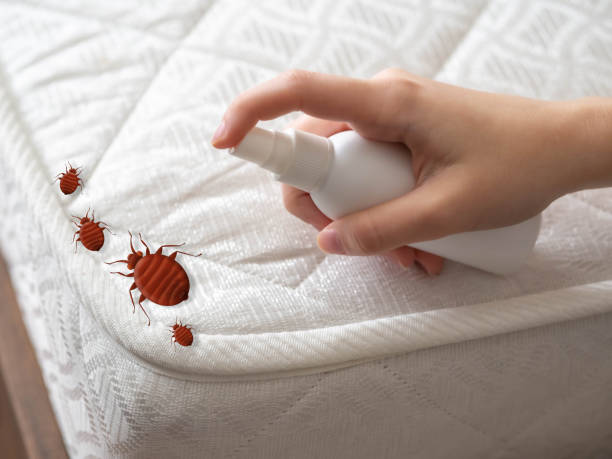Best Cockroach Control Services  in Beechwood Trails, OH